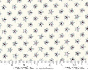 American Gatherings II by Primitive Gatherings - Blender Stars - White/Blue - Moda 49242 11 - REMNANT