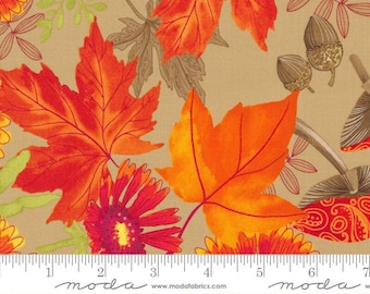 Forest Frolic by Robin Pickens - Indian Blanket Flowers - Tan - Moda 48740 14
