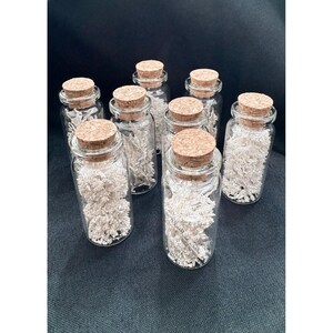 May include: Several small, clear glass bottles with cork stoppers. Each bottle contains a fluffy, silver-coloured material. The bottles are arranged on a dark surface, creating a visually appealing display.