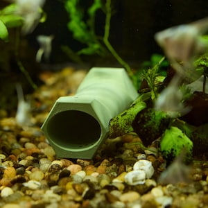 May include: A light green, hexagonal aquarium cave rests on a bed of small, colorful pebbles. Green aquatic plants and small fish are visible in the background, creating an underwater scene.