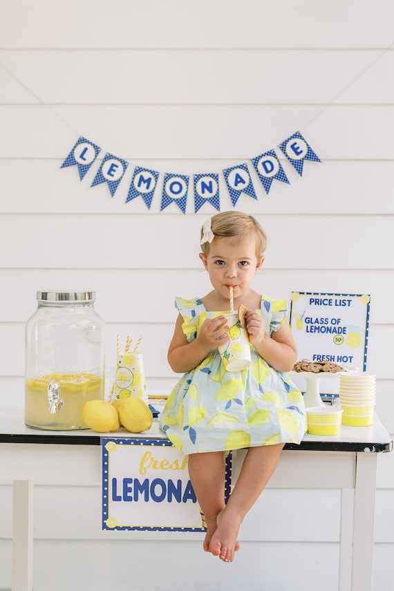 pretend lemonade stand