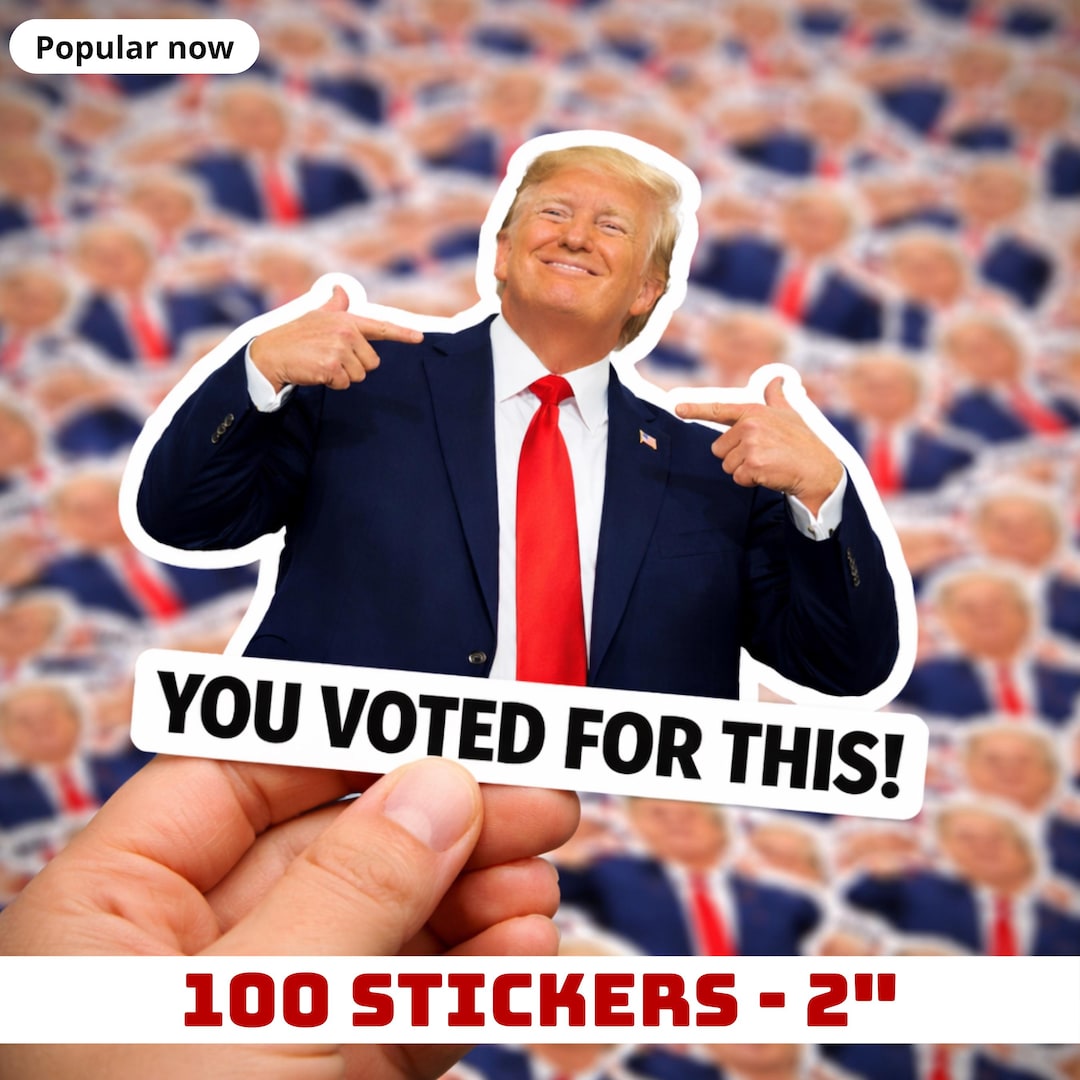Vote Meme Sticker 100pcs You Voted for This Stickers, Funny Political Satire Humor ...