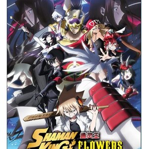 Shaman King Dvd - Etsy