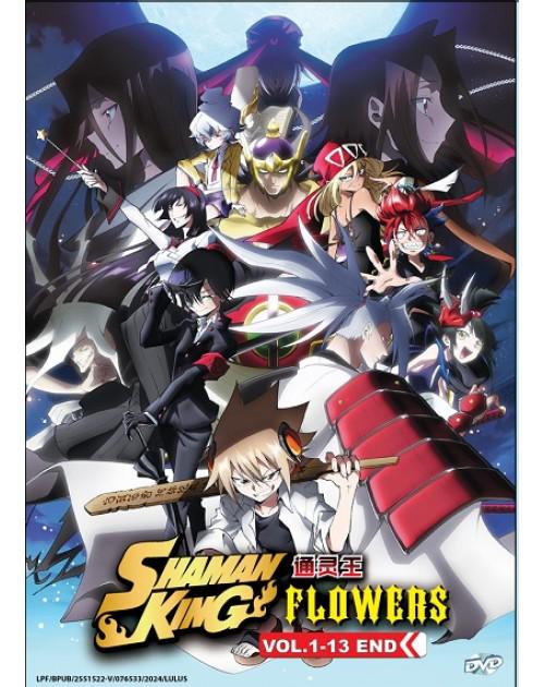 Shaman King Dvd - Etsy