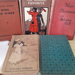 The school favorite, Dorothy Dale, Nan Sherwood, Dorothy Dixon...book bundle, NEW SALE PRICE