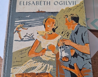 Blueberry Summer by Elisabeth Ogilvie, young adult novel first edition EX library hard back.