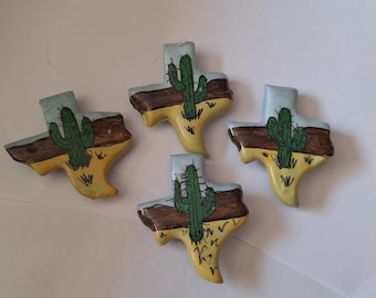 Texas cactus hand painted button covers eighties kitsch