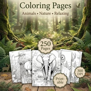 May include: A set of 250 Forest & Wildlife Coloring Pages. The cover displays the text "250 Forest & Wildlife Coloring Pages" with "Animals, Nature, Relaxing" underneath. The coloring pages are printable and 300 DPI.