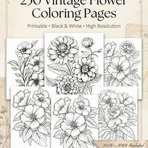 May include: A collection of six printable black and white vintage flower coloring pages. The text at the top reads "250 Vintage Flower Coloring Pages". The pages are high resolution and include a commercial use license.