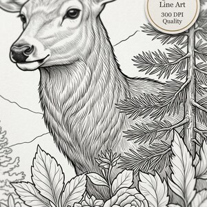 May include: Intricate black and white line art depicting a deer with antlers, surrounded by detailed flora. The image features text: "High Detail Line Art 300 DPI Quality". A nature-themed illustration.