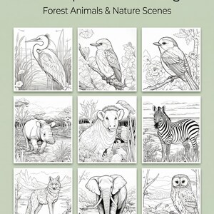 May include: Nine black and white illustrations of forest animals and nature scenes. The text at the top reads "250 Unique Wildlife Designs". The images include a heron, bird, rhino, zebra, wolf, elephant, and owl. Ideal for colouring.