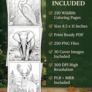 May include: Three black and white wildlife coloring pages featuring a heron, elephant, and deer. The text "WHAT'S INCLUDED" is displayed, along with details about the coloring pages, including size 21.6 x 27.9 cm.