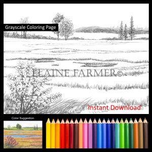 Marsh Plum Island MA Gold Autumn View Coloring Pages w/Instructions for both 5x7 and 8x10 sizes Digital Download & Printable Adult and Kids
