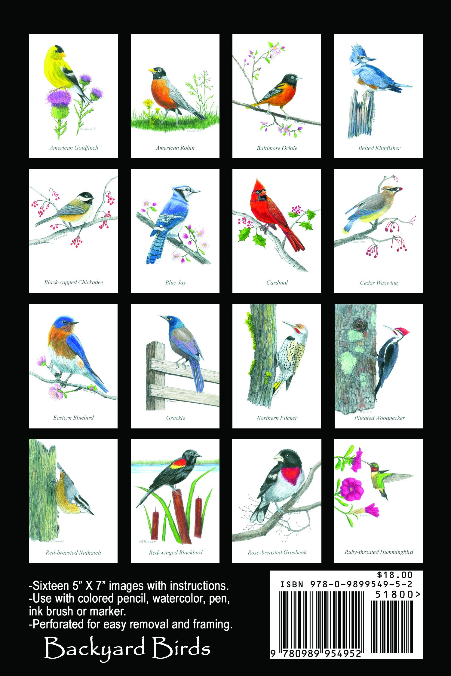 Notebook Cardinal Blue Jay Hummingbird Woodpecker Chickadee