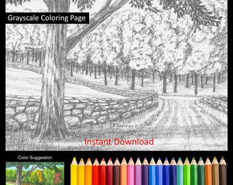 Country Path Stone Wall Path Coloring Pages w/Instructions for both 5x7 and 8x10 sizes Digital Download & Printable for Adult and Kids