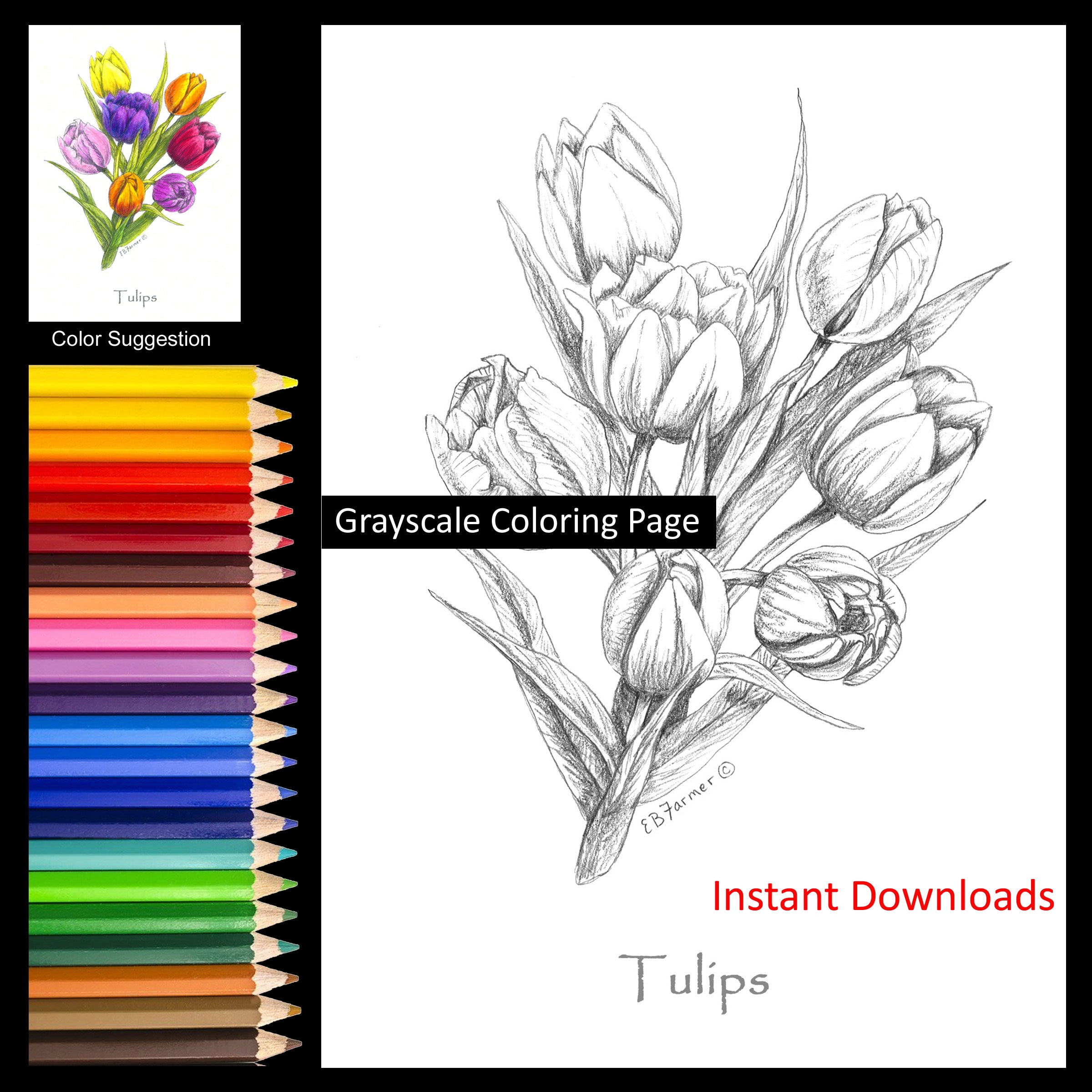 Tulips Flower Coloring Page With Instruction: Grayscale Floral Art (digital  Download) - Etsy, image size:2400x2400