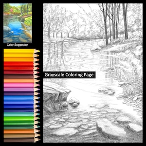 River Stream Woodland Landscape Summer Coloring Pages w/Instructions for both 5x7 8x10 sizes Digital Download & Printable for Adult and Kids