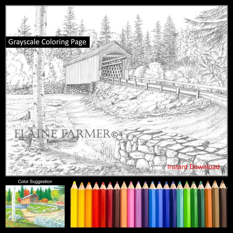 Corbin Covered Bridge Birch Tree NH Coloring Pages - Etsy Canada