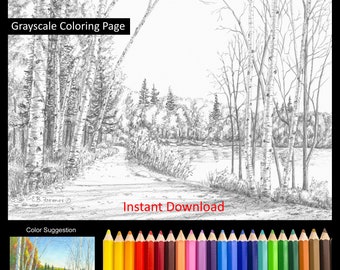 Country Path Lake Birch Trees Coloring Pages w/Instructions for both 5x7 and 8x10 sizes Digital Download & Printable for Adult and Kids