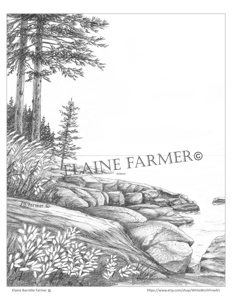 Acadia National Park Seacoast Rocks Coloring Pages  Etsy New Zealand