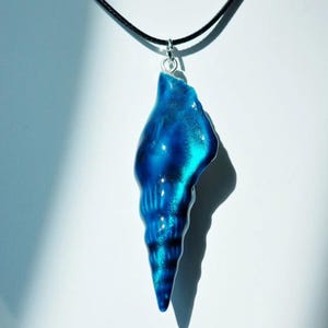 May include: A blue seashell pendant suspended from a black cord. The pendant, with iridescent highlights, is a vibrant blue and is attached to a silver-coloured bail. The seashell has a textured surface and a spiral shape.