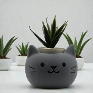 May include: A gray cat-shaped planter with a small succulent plant. The planter has a smiling face with whiskers. Several small white pots with succulents are in the background.