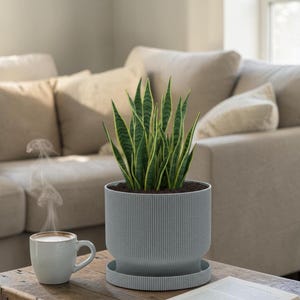 May include: A grey, ribbed planter with a snake plant, a cup of coffee, and an open book on a wooden coffee table. The snake plant has green and yellow striped leaves. Steam rises from the coffee cup.