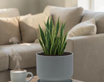 Minimalistischer Blumentopf - 3D gedruckter Pflanztopf mit Drainage, Indoor Sukkulententopf, modernes Wohndekor, Schlangentopf