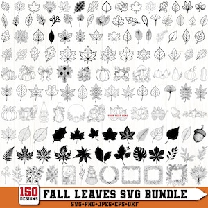 May include: A digital collection of 150 black and white line art designs featuring various autumn leaves, pumpkins, acorns, mushrooms, and floral arrangements. The bundle includes wreaths, frames, and a gnome, with the text FALL LEAVES SVG BUNDLE.