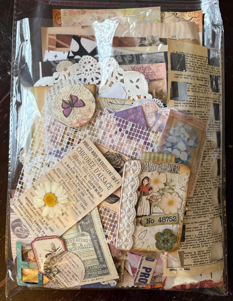 K&ouml;nnte beinhalten: Eine Sammlung verschiedener Papier-Ephemera, darunter Etiketten im Vintage-Stil, W&ouml;rterbuchseiten, eine wei&szlig;e Papierspitze, ein Schmetterlingsausschnitt, ein gepresstes G&auml;nsebl&uuml;mchen und ein Anh&auml;nger mit dem Text Mayflower No 48752, in einer Klarsichth&uuml;lle.