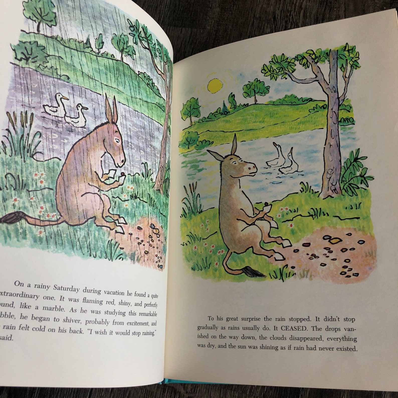 magic pebble book magic pebble book