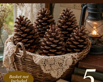 5 grote loblolly-dennenappels | 6-7 inch dennenappels | Schoongemaakt en gedroogd | Rustiek decor | Knutselen