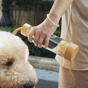 Puede incluir: Una botella de agua de vidrio transparente con tapa y base de bambú, llena de agua y cristales. La botella la sostiene una persona que lleva una pulsera. El texto "CRYSTAL MATRIX" está en la parte inferior de la imagen. Un perro esponjoso está en primer plano.