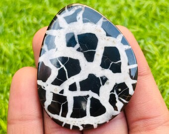 May include: A polished, teardrop-shaped gemstone with a striking pattern. The stone features a black base colour with a prominent white, web-like design throughout. The gemstone is held in a hand against a backdrop of green grass.