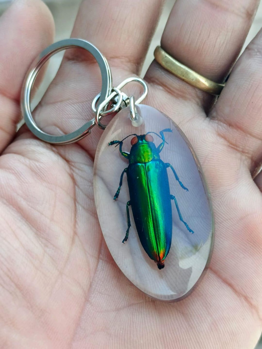本物のタマムシのキーホルダー。本物の昆虫のキーホルダー。樹脂アート