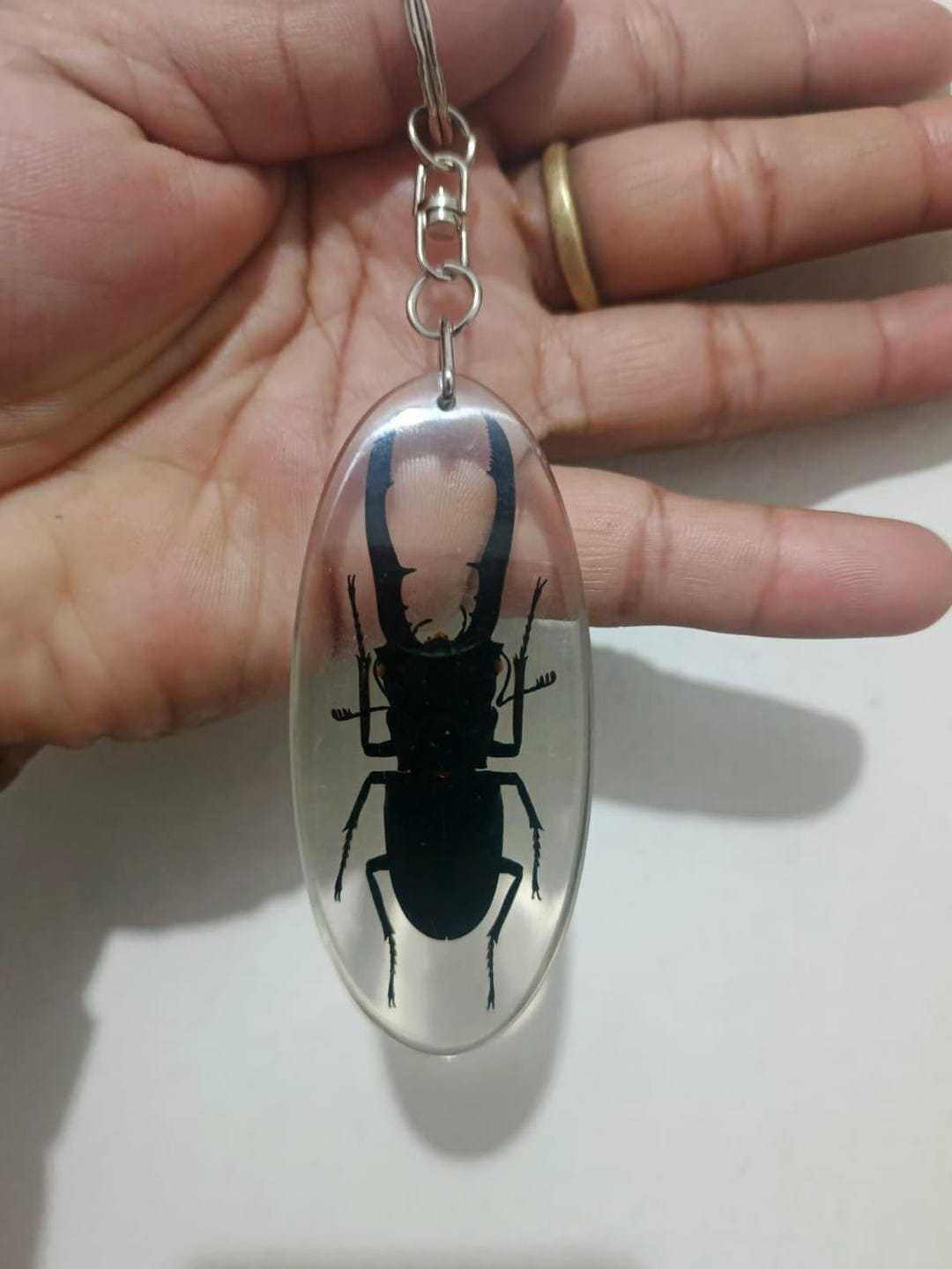 Real Stag Beetle Keychain. Black Insect. Resin Art. Insect Embedded ...