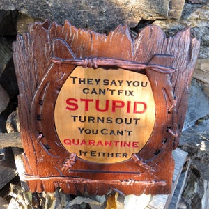 Can't Fix Stupid Funny Sign - 3D Engraved Walnut and Cherry Wood Wall Decor - 10.5" x 9.25" x 0.70"  Hand Crafted Ohio USA