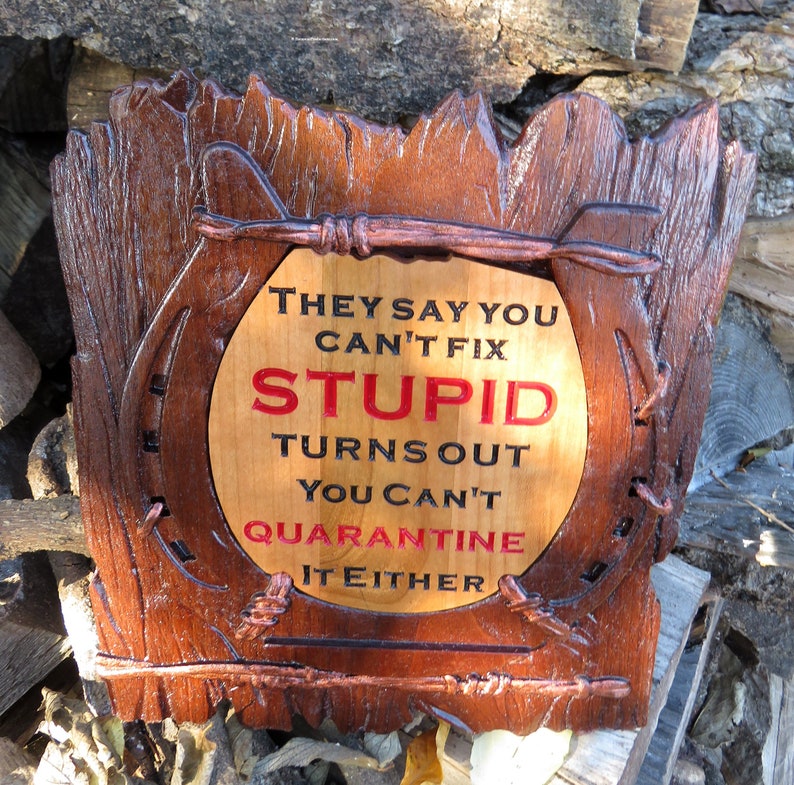 Can't Fix Stupid Funny Sign - 3D Engraved Walnut and Cherry Wood Wall Decor - 10.5" x 9.25" x 0.70"  Hand Crafted Ohio USA