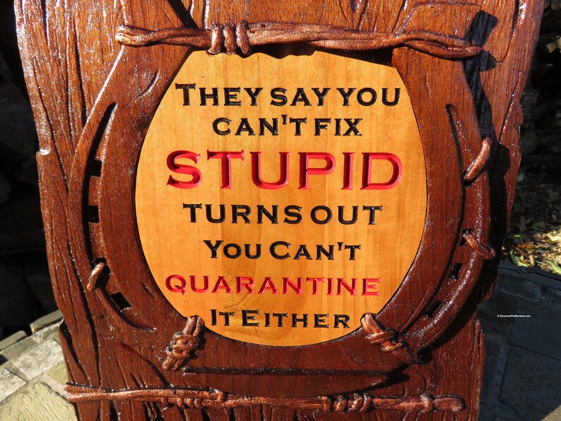 Can't Fix Stupid Funny Sign - 3D Engraved Walnut and Cherry Wood Wall Decor - 10.5" x 9.25" x 0.70"  Hand Crafted Ohio USA