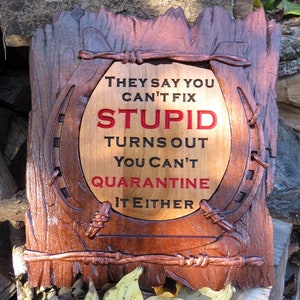 Can't Fix Stupid Funny Sign - 3D Engraved Walnut and Cherry Wood Wall Decor - 10.5" x 9.25" x 0.70"  Hand Crafted Ohio USA