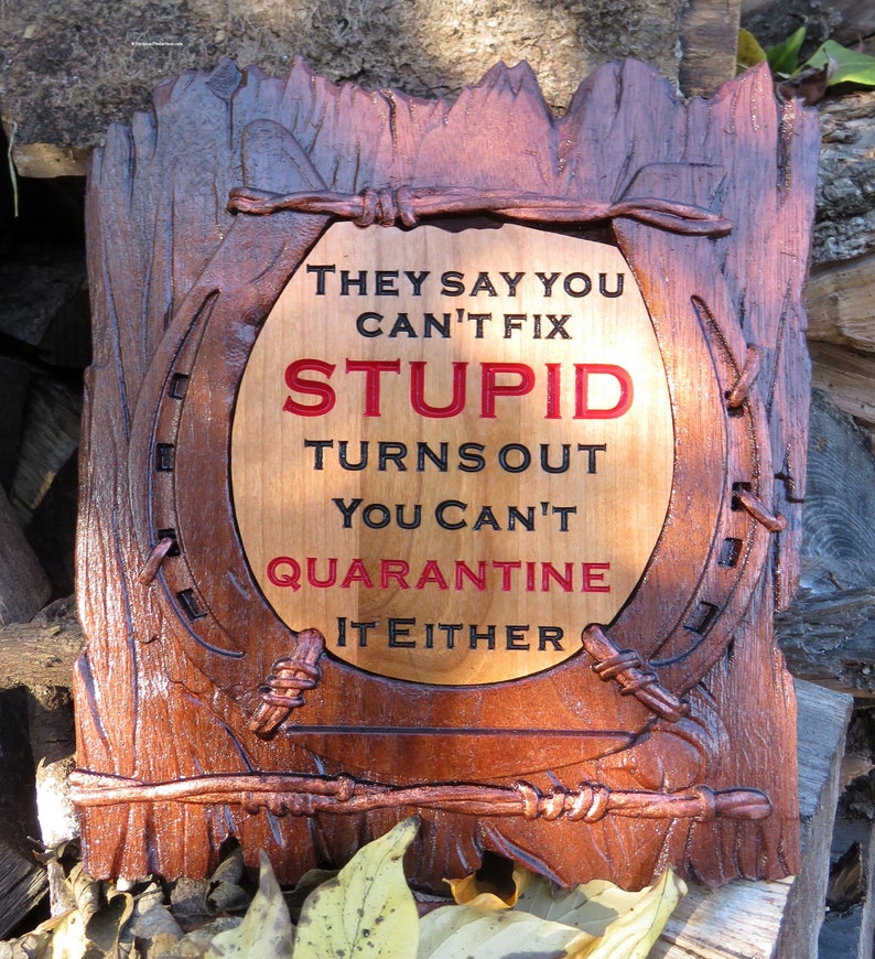 Can't Fix Stupid Funny Sign - 3D Engraved Walnut and Cherry Wood Wall Decor - 10.5" x 9.25" x 0.70"  Hand Crafted Ohio USA