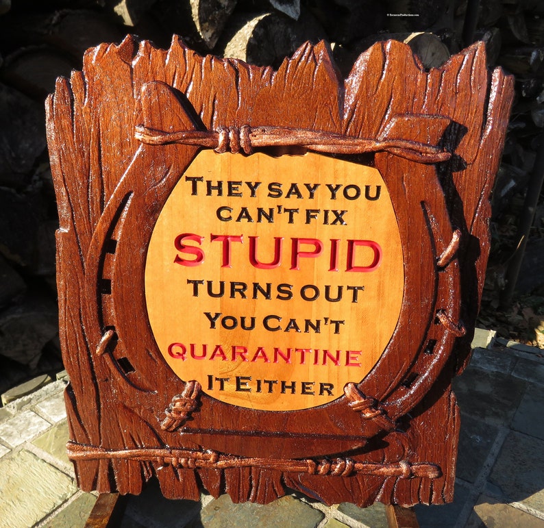 Can't Fix Stupid Funny Sign - 3D Engraved Walnut and Cherry Wood Wall Decor - 10.5" x 9.25" x 0.70"  Hand Crafted Ohio USA