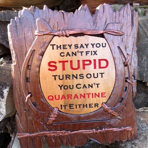 Can't Fix Stupid Funny Sign - 3D Engraved Walnut and Cherry Wood Wall Decor - 10.5" x 9.25" x 0.70"  Hand Crafted Ohio USA