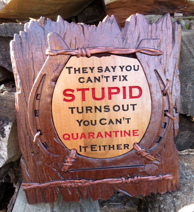 Can't Fix Stupid Funny Sign - 3D Engraved Walnut and Cherry Wood Wall Decor - 10.5" x 9.25" x 0.70"  Hand Crafted Ohio USA