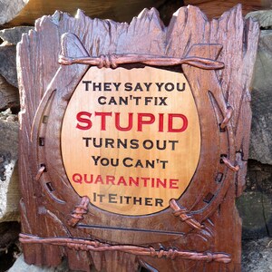 Can't Fix Stupid Funny Sign - 3D Engraved Walnut and Cherry Wood Wall Decor - 10.5" x 9.25" x 0.70"  Hand Crafted Ohio USA