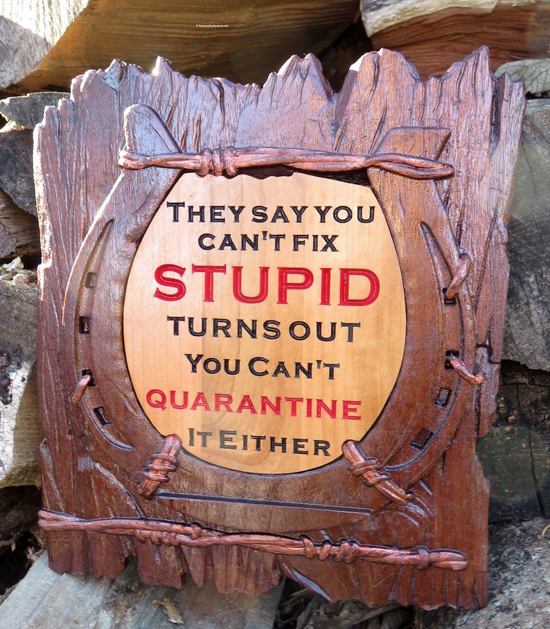 Can't Fix Stupid Funny Sign - 3D Engraved Walnut and Cherry Wood Wall Decor - 10.5" x 9.25" x 0.70"  Hand Crafted Ohio USA