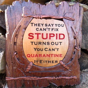 Can't Fix Stupid Funny Sign - 3D Engraved Walnut and Cherry Wood Wall Decor - 10.5" x 9.25" x 0.70"  Hand Crafted Ohio USA