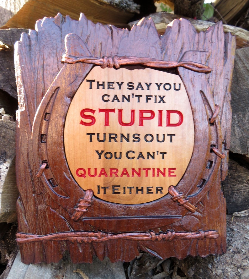 Can't Fix Stupid Funny Sign - 3D Engraved Walnut and Cherry Wood Wall Decor - 10.5" x 9.25" x 0.70"  Hand Crafted Ohio USA