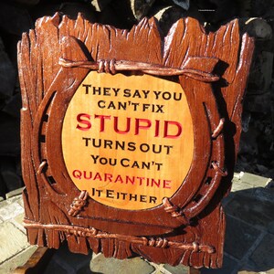 Can't Fix Stupid Funny Sign - 3D Engraved Walnut and Cherry Wood Wall Decor - 10.5" x 9.25" x 0.70"  Hand Crafted Ohio USA