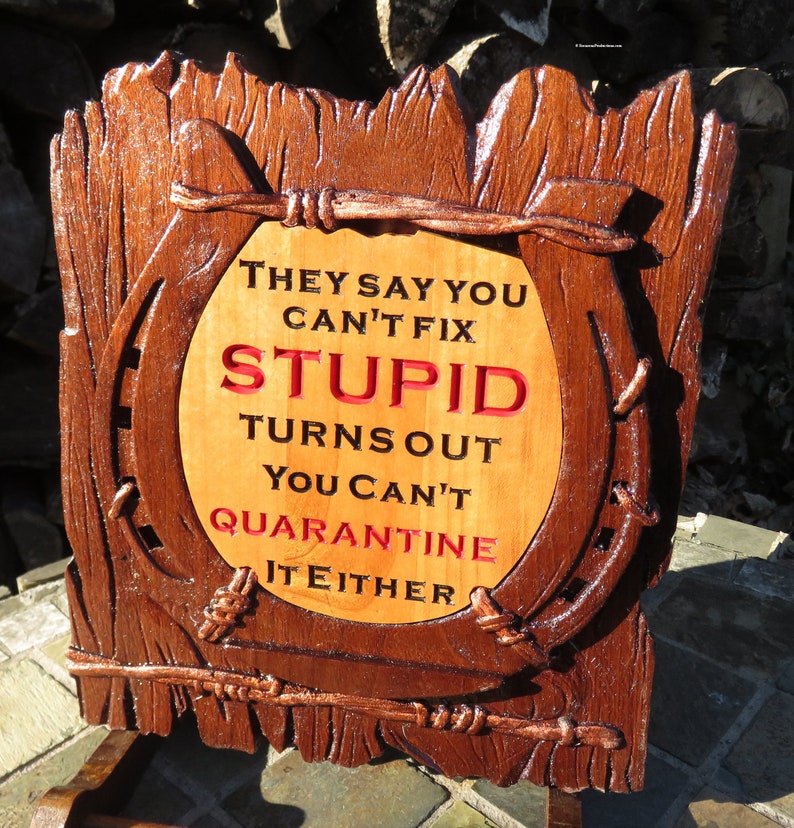 Can't Fix Stupid Funny Sign - 3D Engraved Walnut and Cherry Wood Wall Decor - 10.5" x 9.25" x 0.70"  Hand Crafted Ohio USA